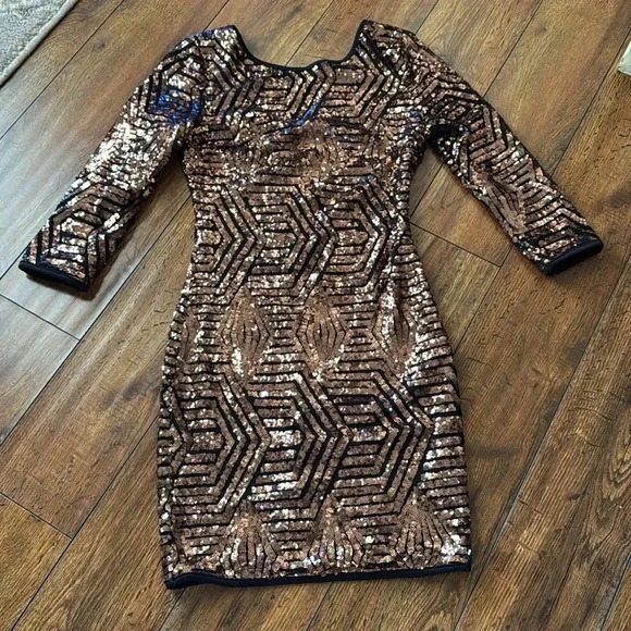 Windsor Squins body fit Dress - Picture 3 of 9